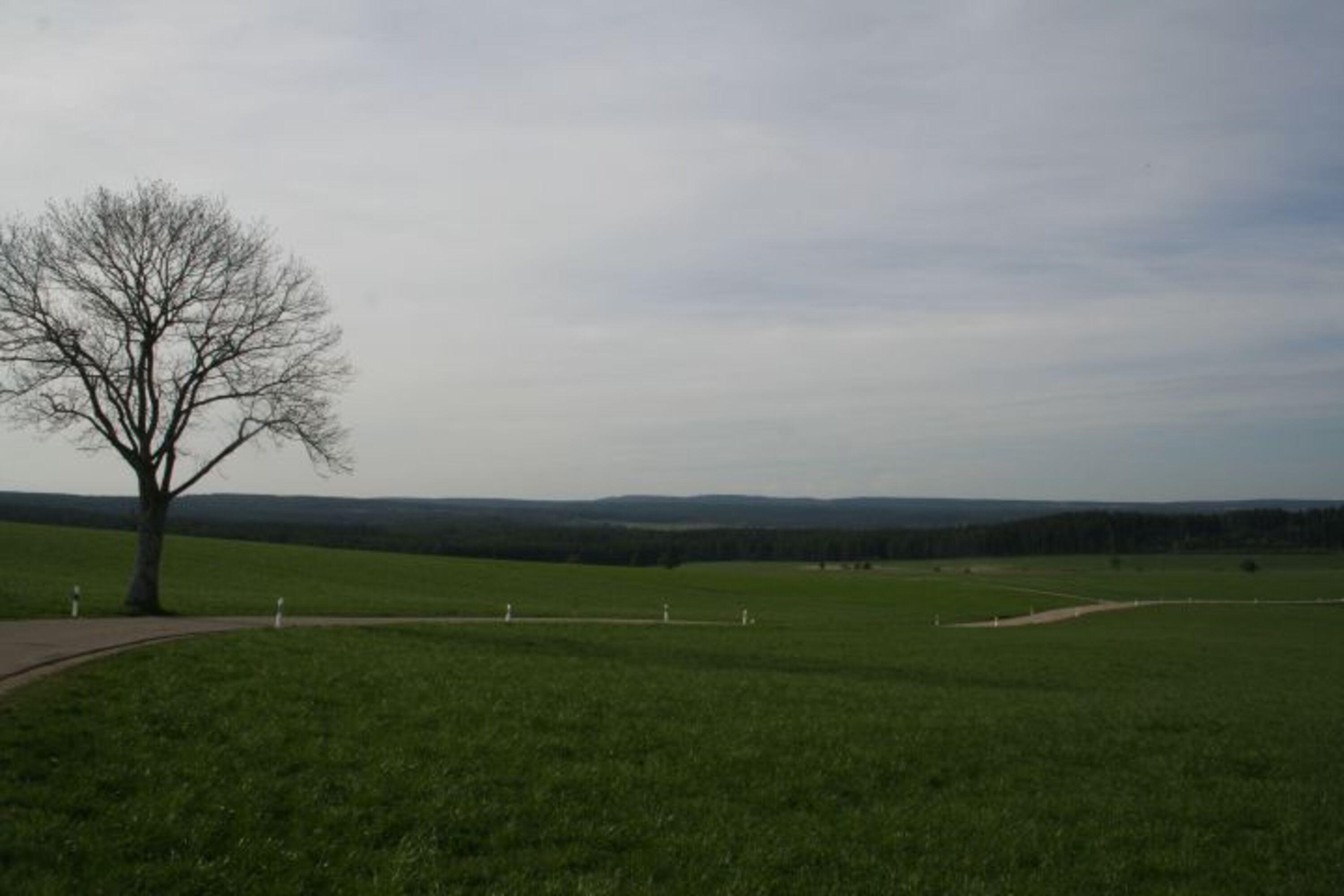Bild 17