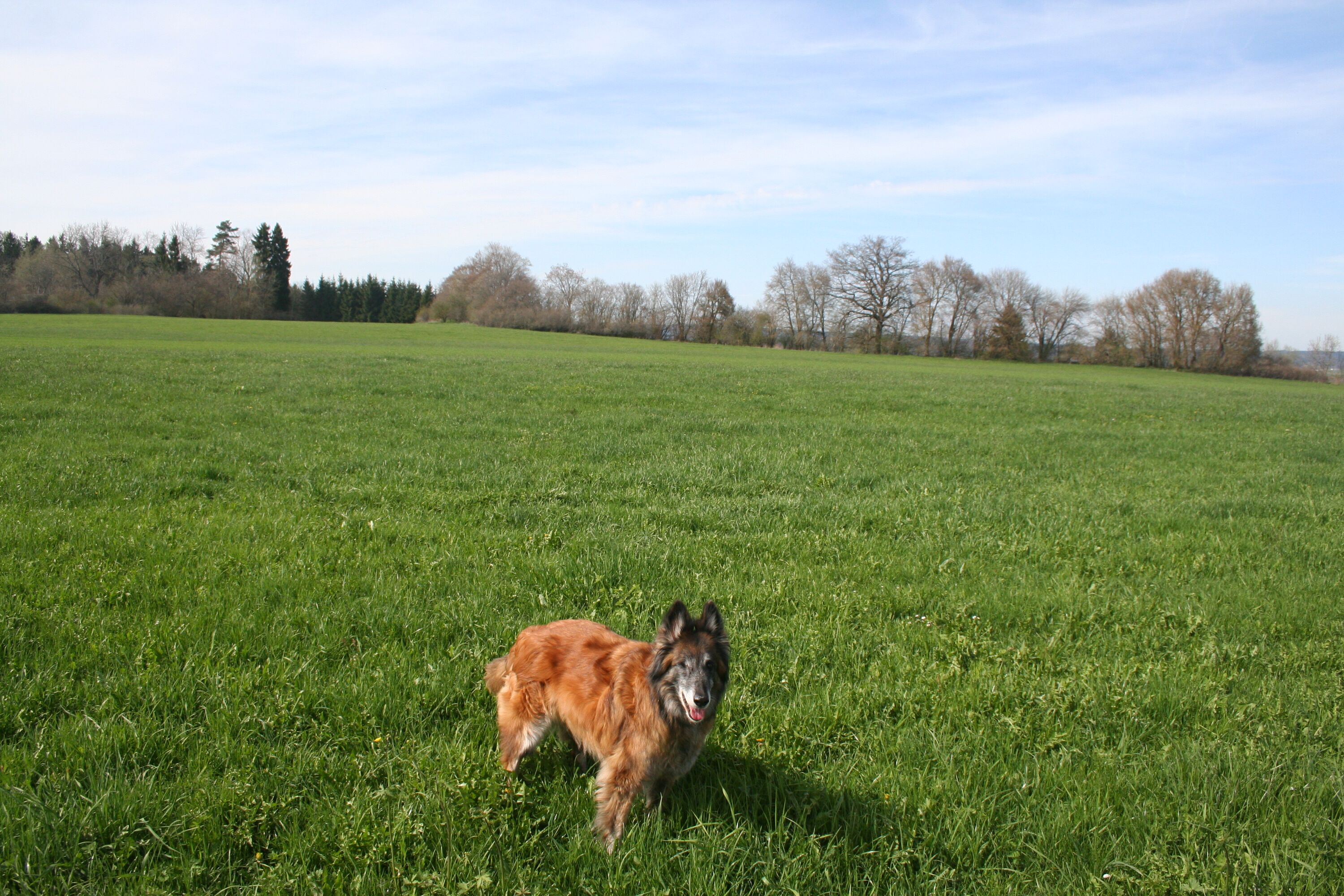 Bild 19