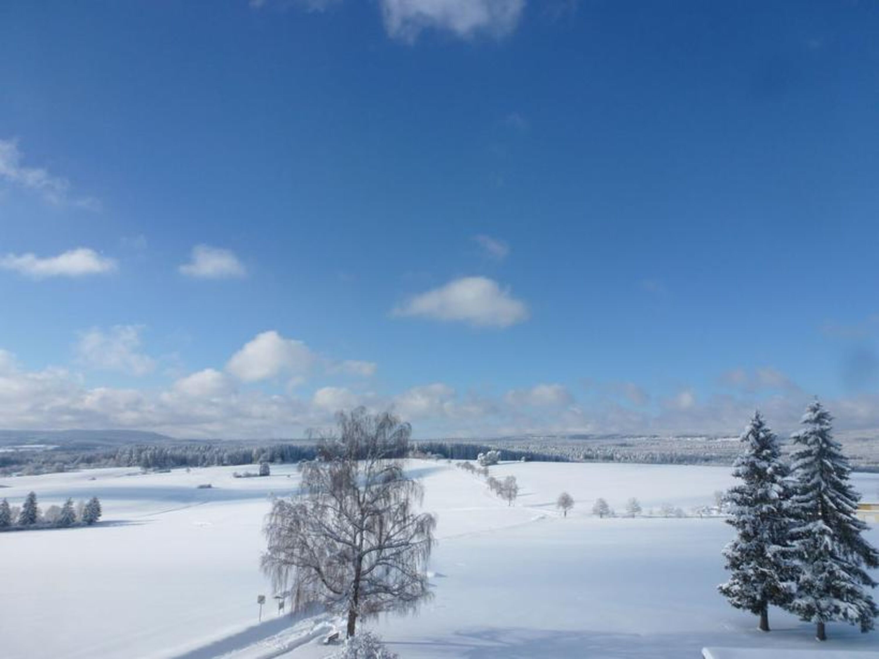 Schwarzwald im Winter