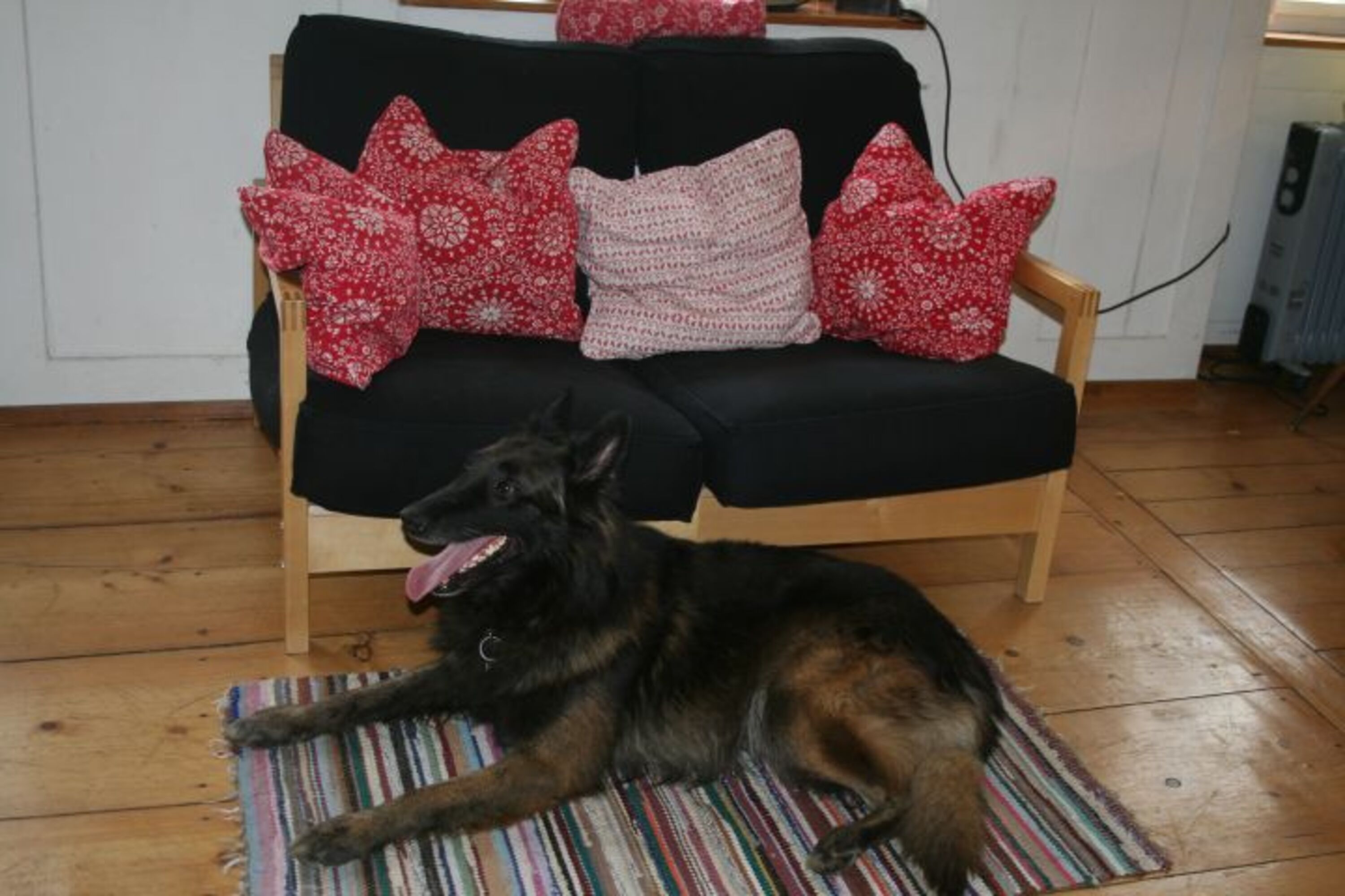 Bild 7