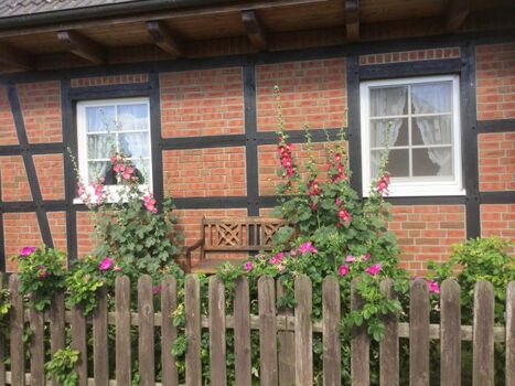 Ferienhaus Heidschnucke Friedrichskoog-Spitze
