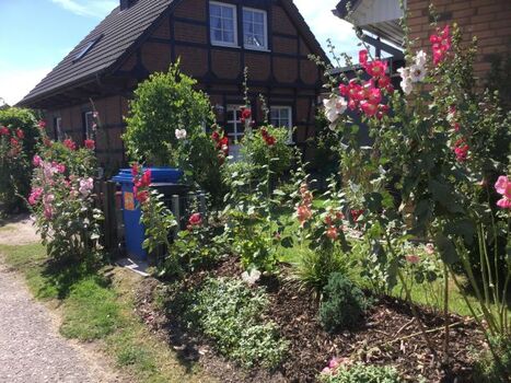 Ferienhaus Heidschnucke Friedrichskoog-Spitze