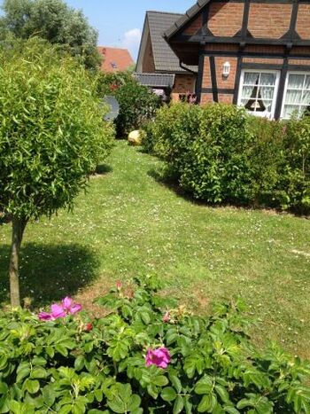 Ferienhaus Heidschnucke Friedrichskoog-Spitze