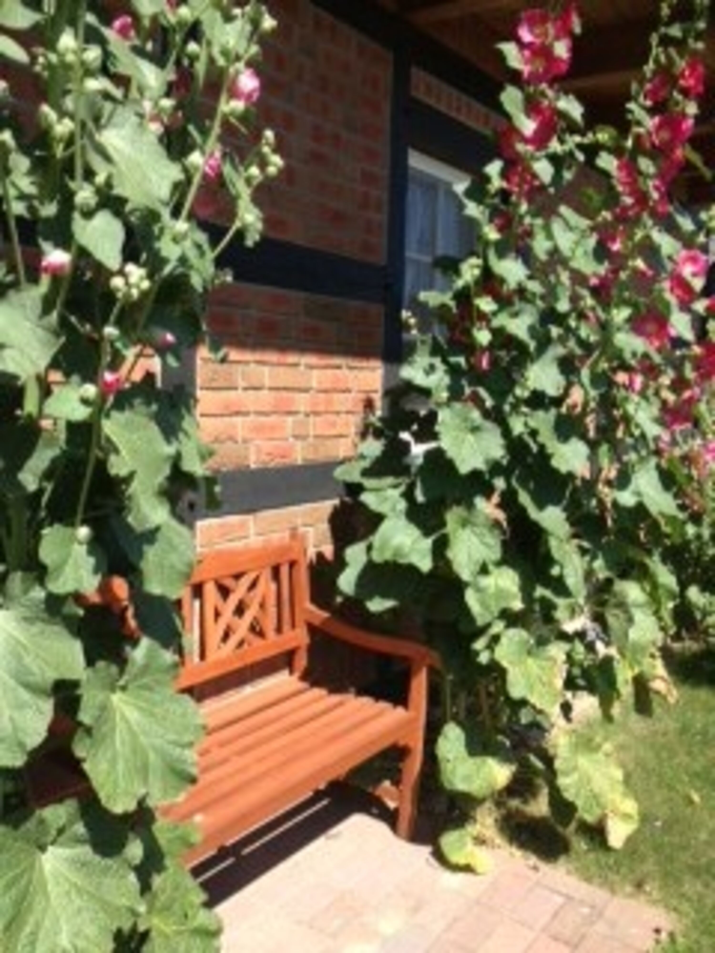 Bild 14