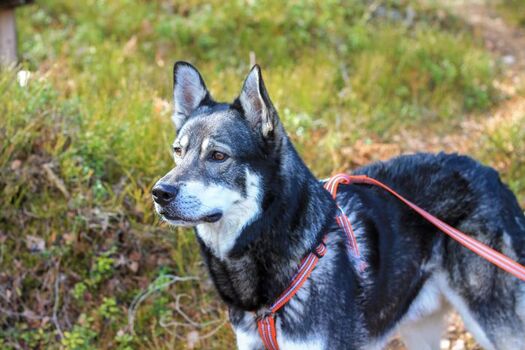Viele Wandermöglichkeiten