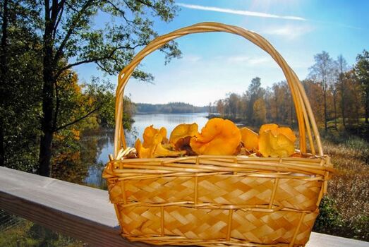 Blick vom Balkon im Obergeschoss