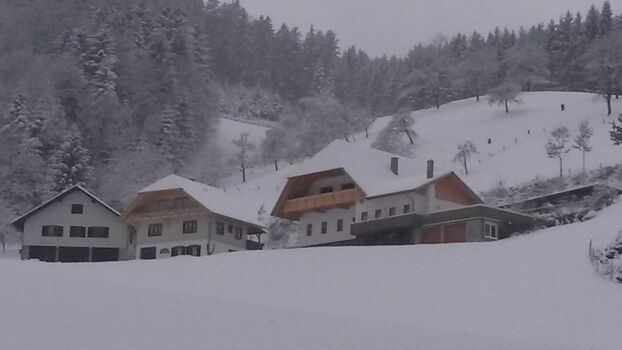 Winter auf dem Hof