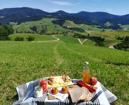 Picknick mit Weitblick