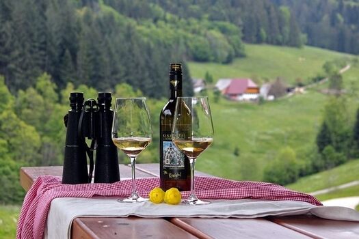 Blick von der Grillstelle