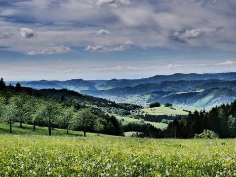 Blick vom Langenberg ins Tal