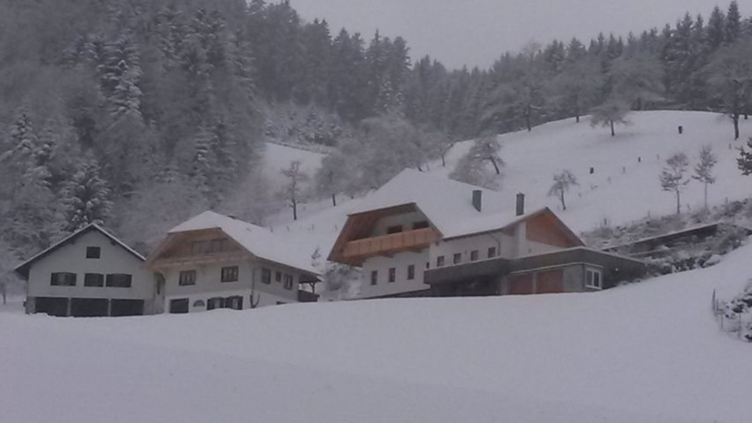 Winter auf dem Hof