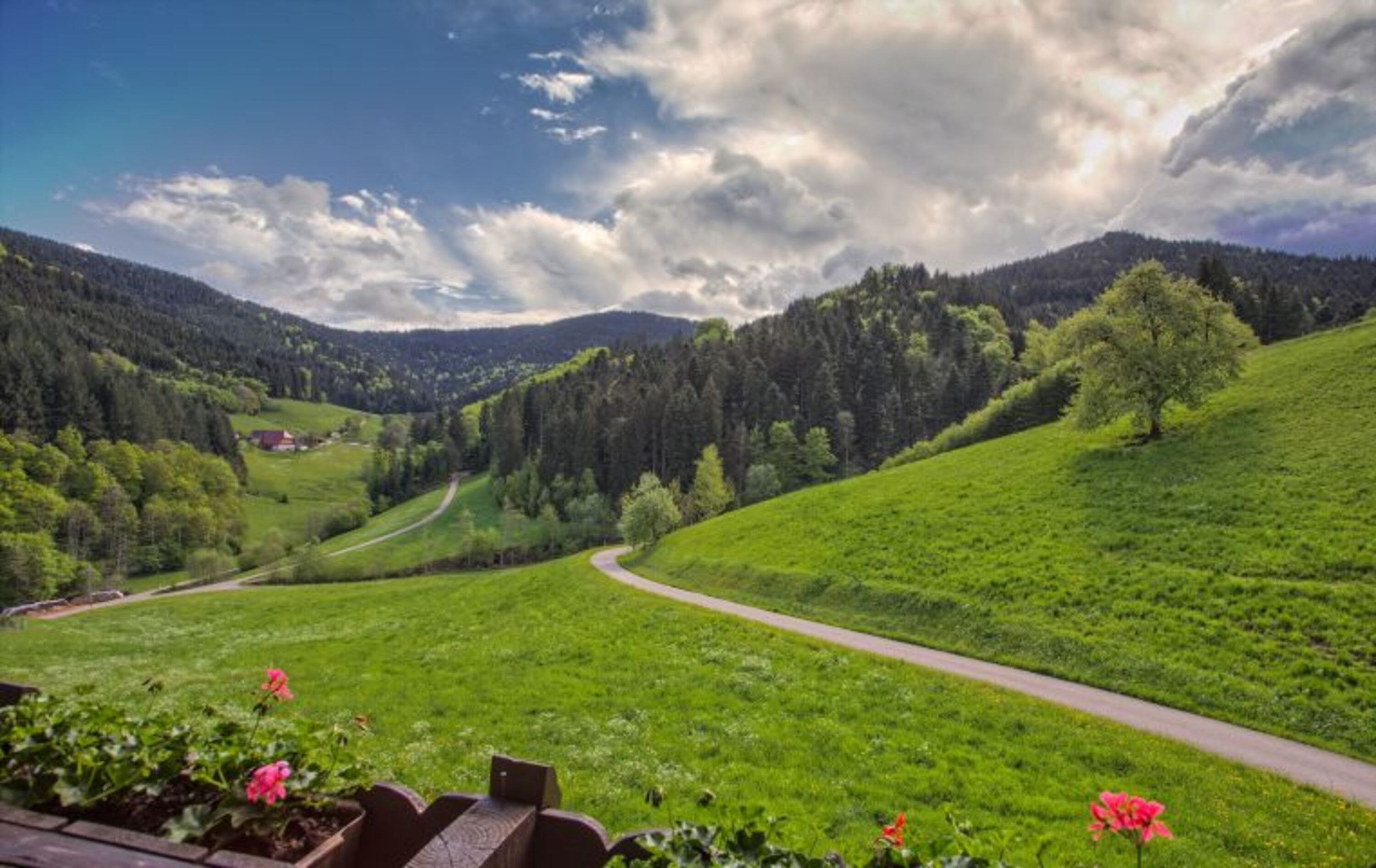 Blick vom Balkon