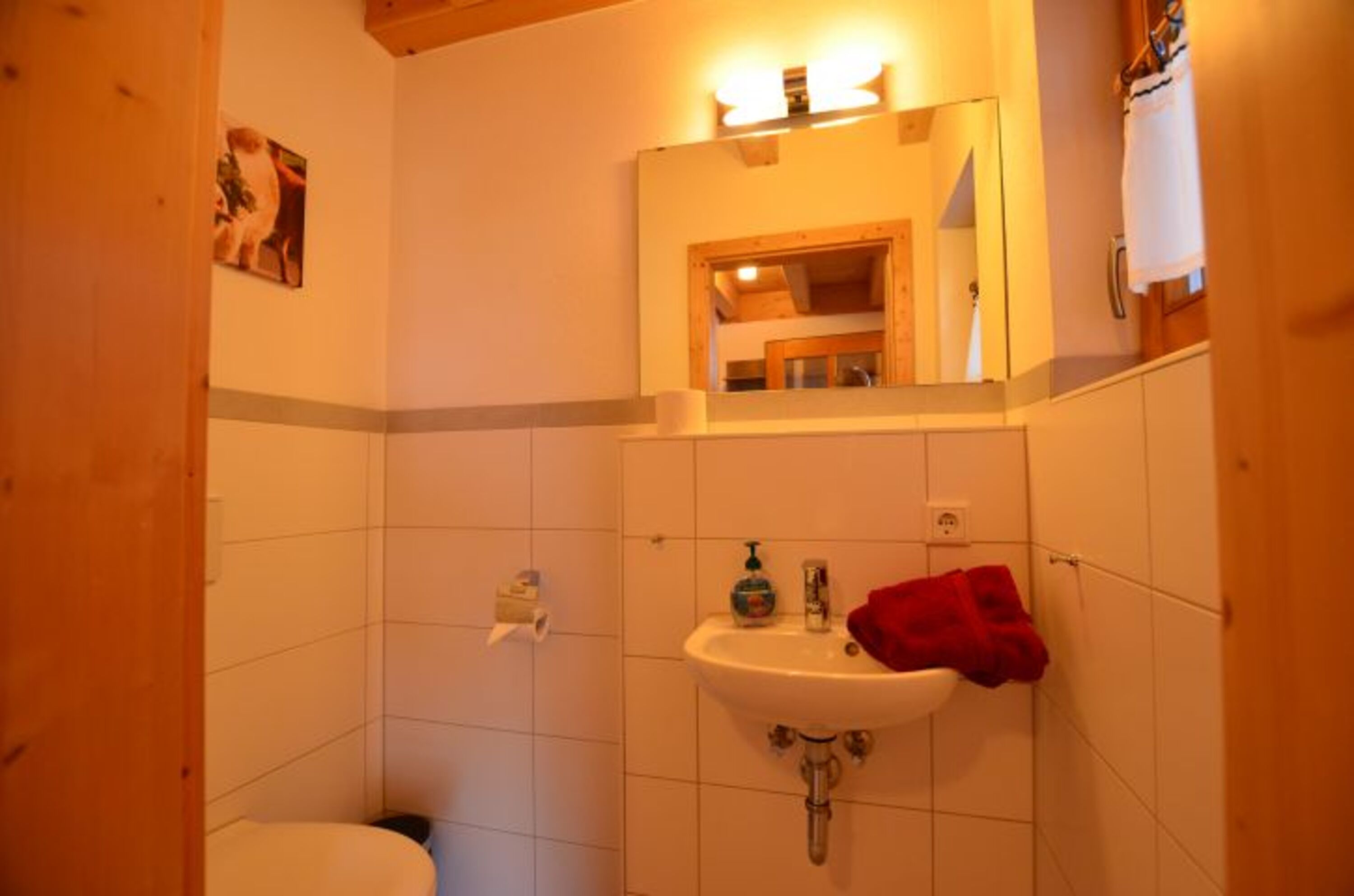 Gäste WC bunte Kuh