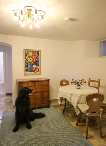 Auch große Hunde herzlich willkommen!