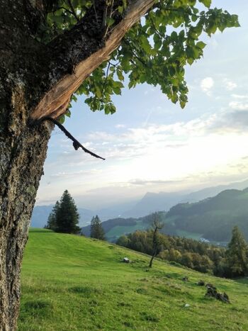 Bergtour in Sachrang 