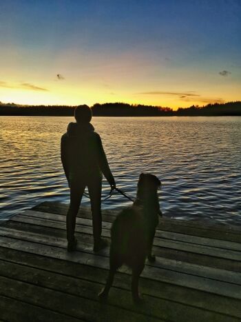 Wunderschöner Sonnenuntergang am Hartsee