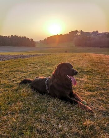 Herrliche Sonnenuntergänge im Chiemgau