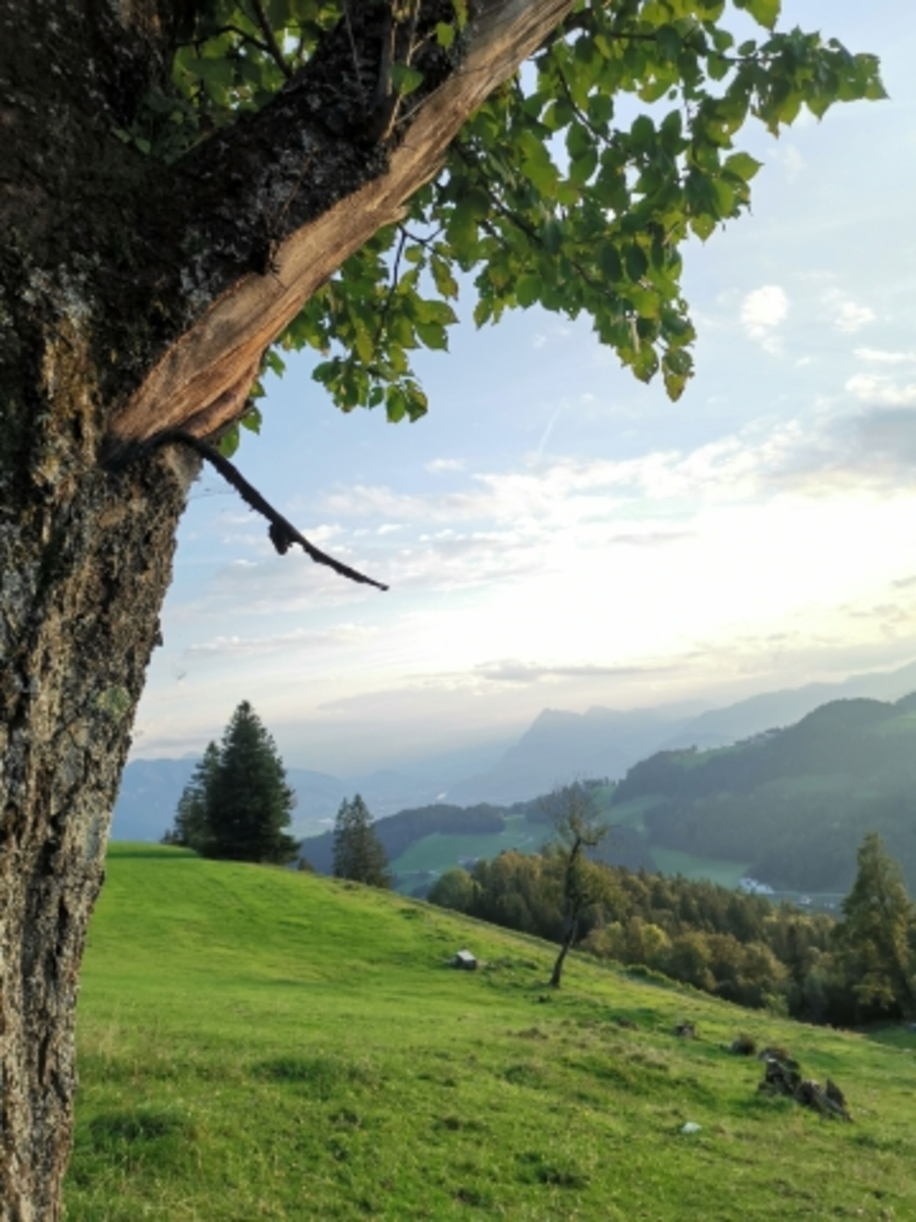 Bergtour in Sachrang 