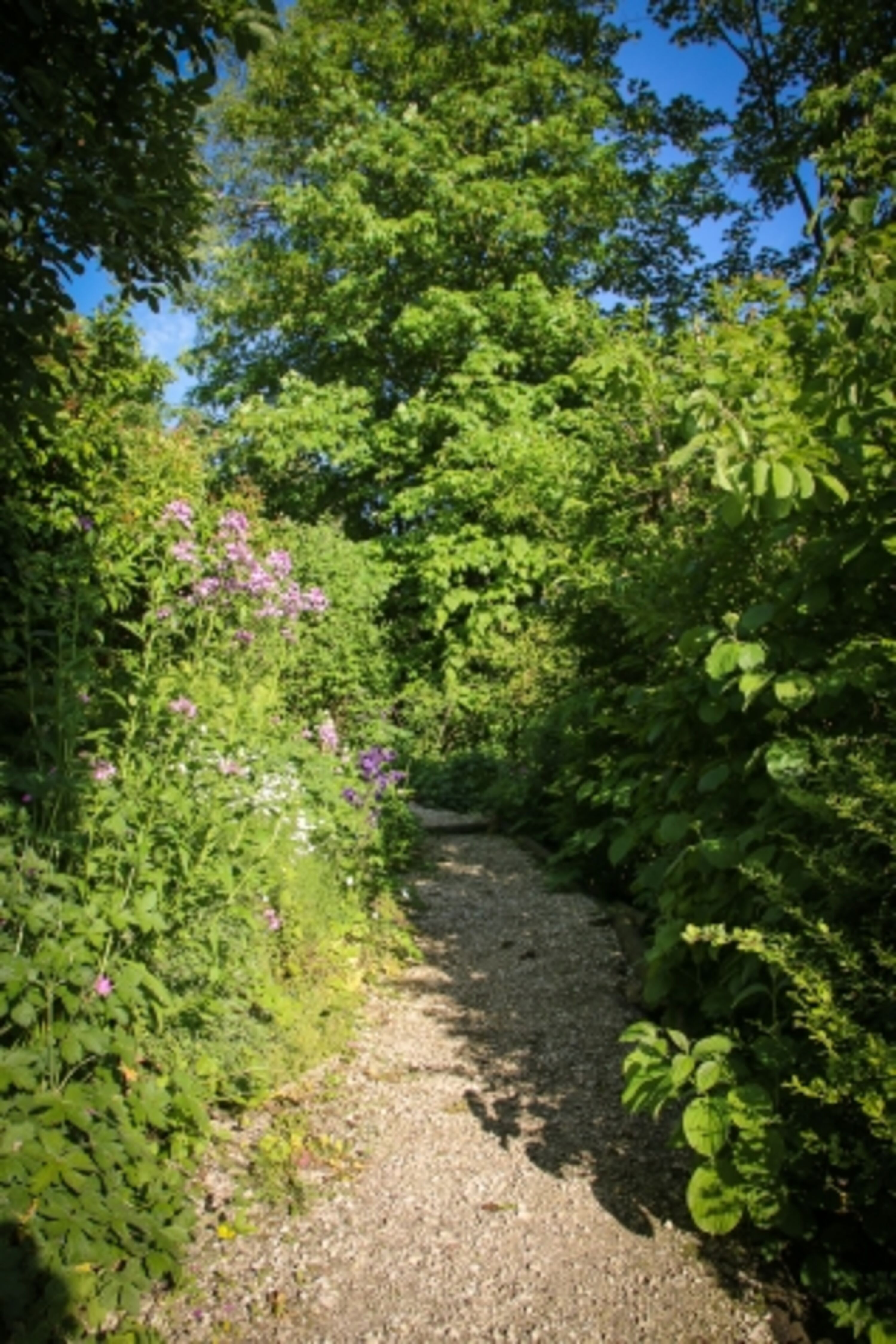Gartenzugang