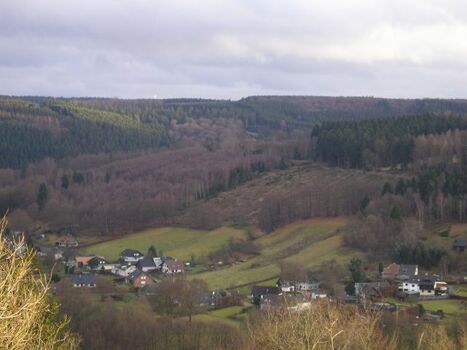 Widdau im Spätherbst, Eifelblick Knöpp
