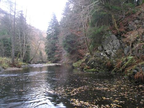 Das Rurtal bei Widdau