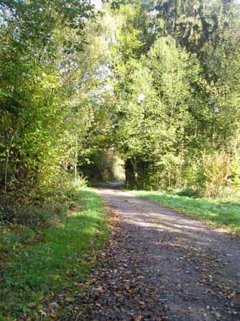 Ahr-Venn-Weg bei Widdau