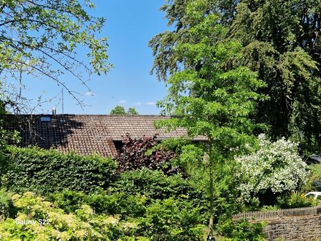 Ferienhaus Südostansicht