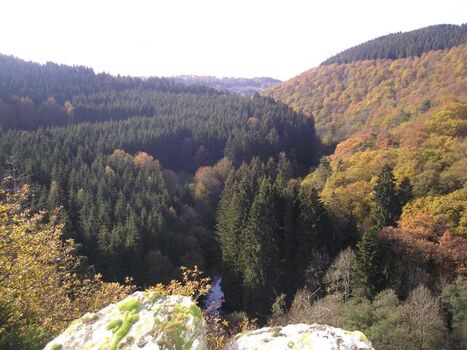 Ausblick von der  Wiselsley