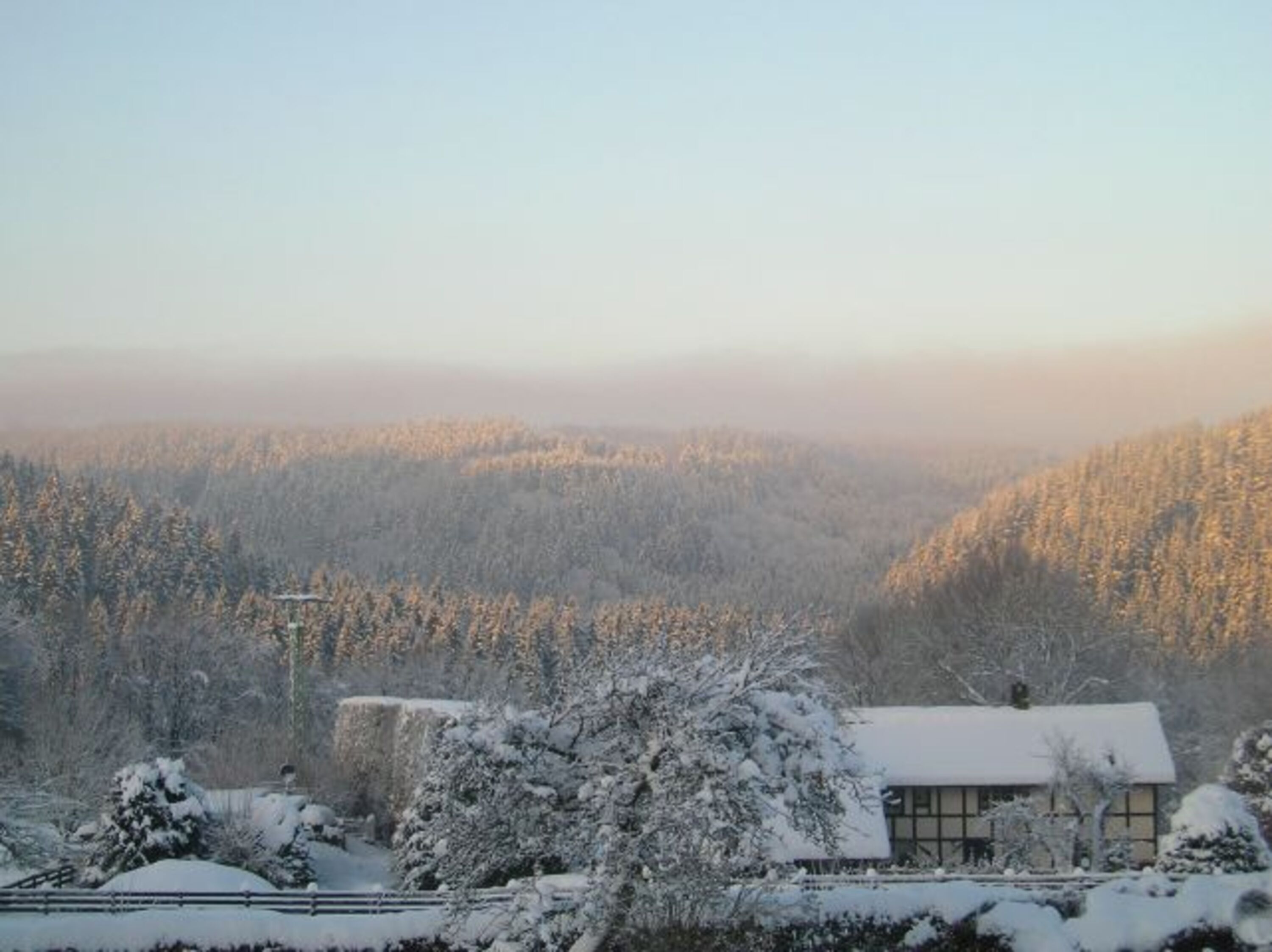 Widdau im Winter