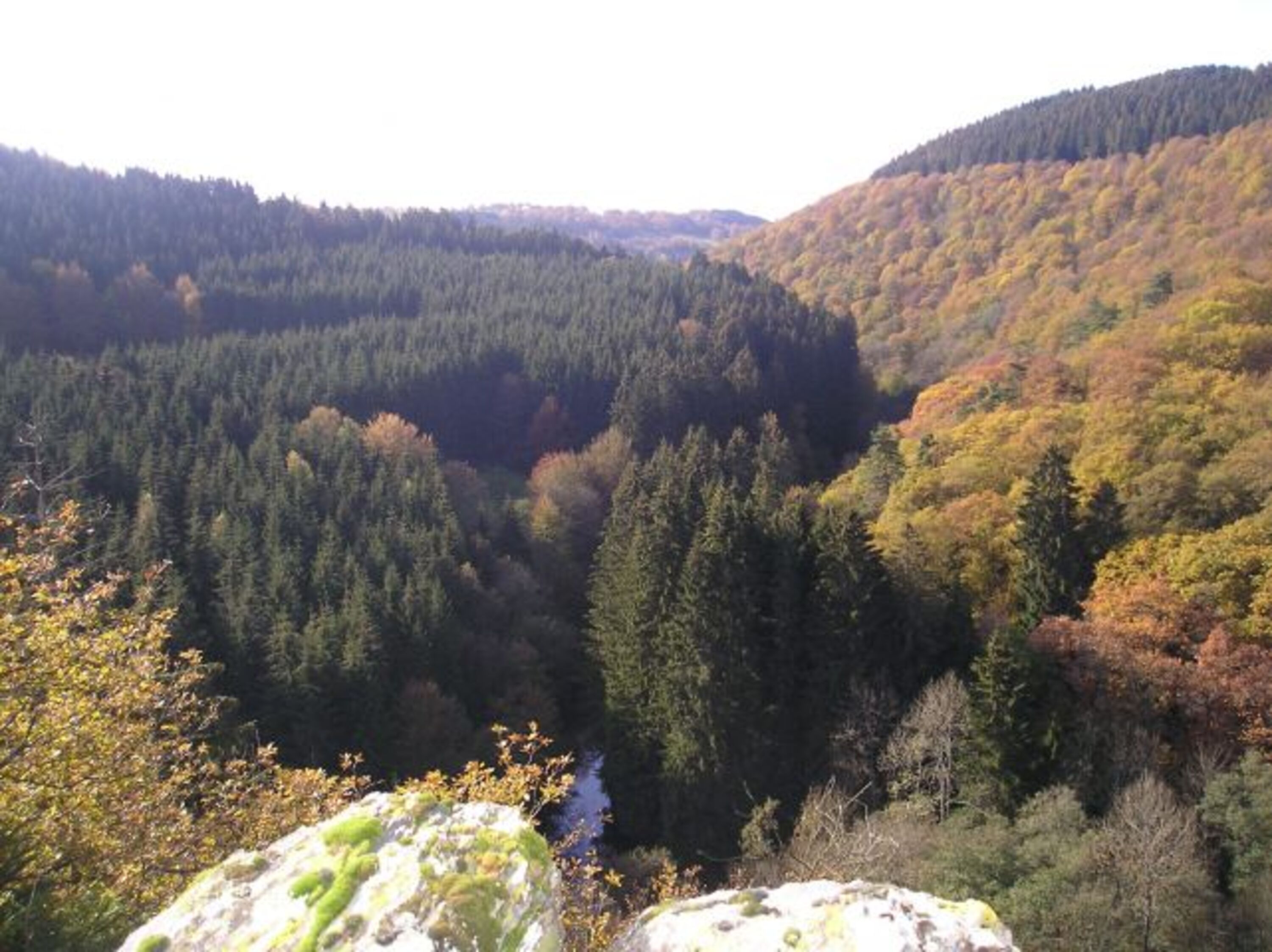 Ausblick von der Wiselsley