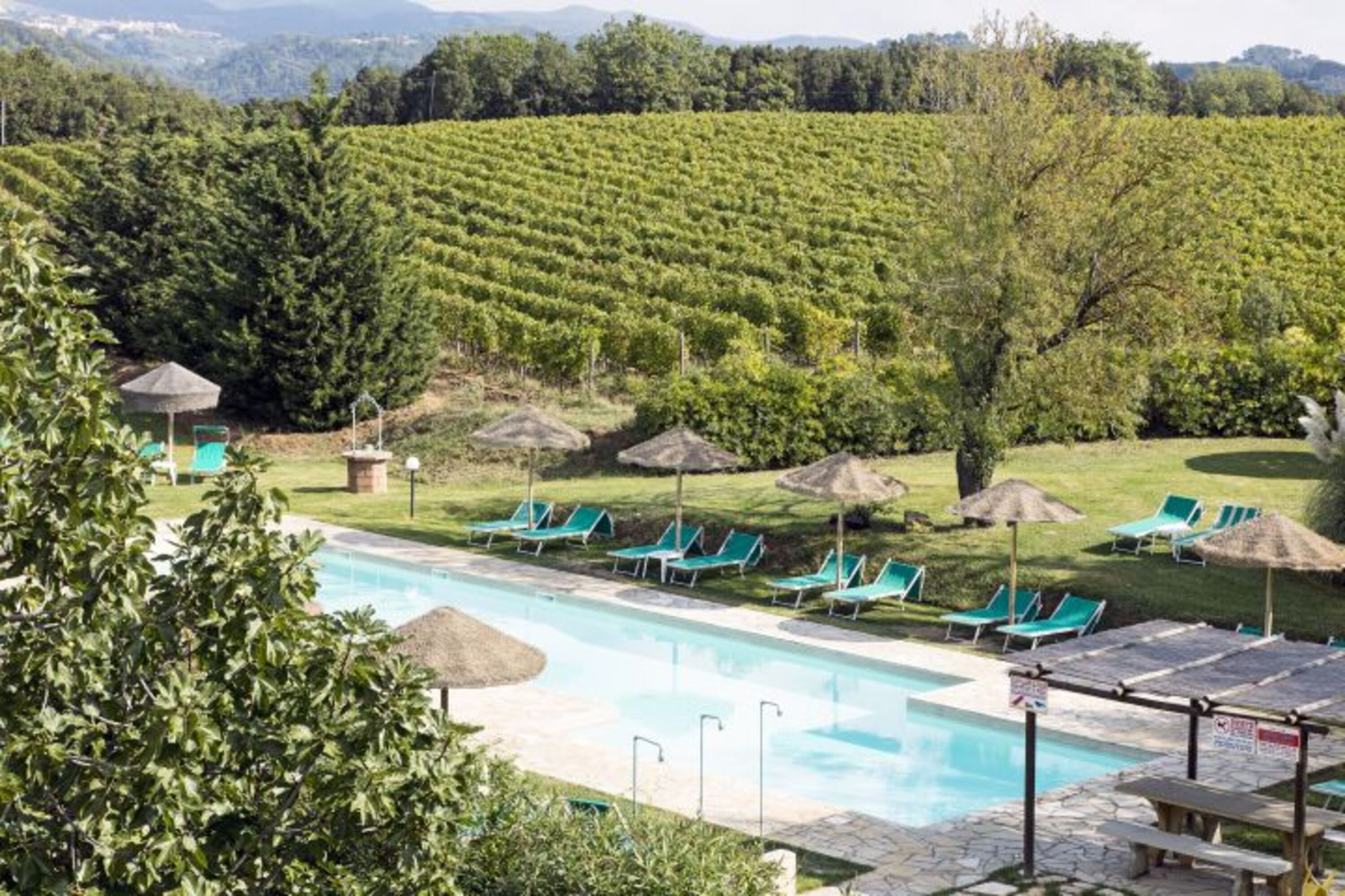 unsere neue Pool, 21 mt lang
