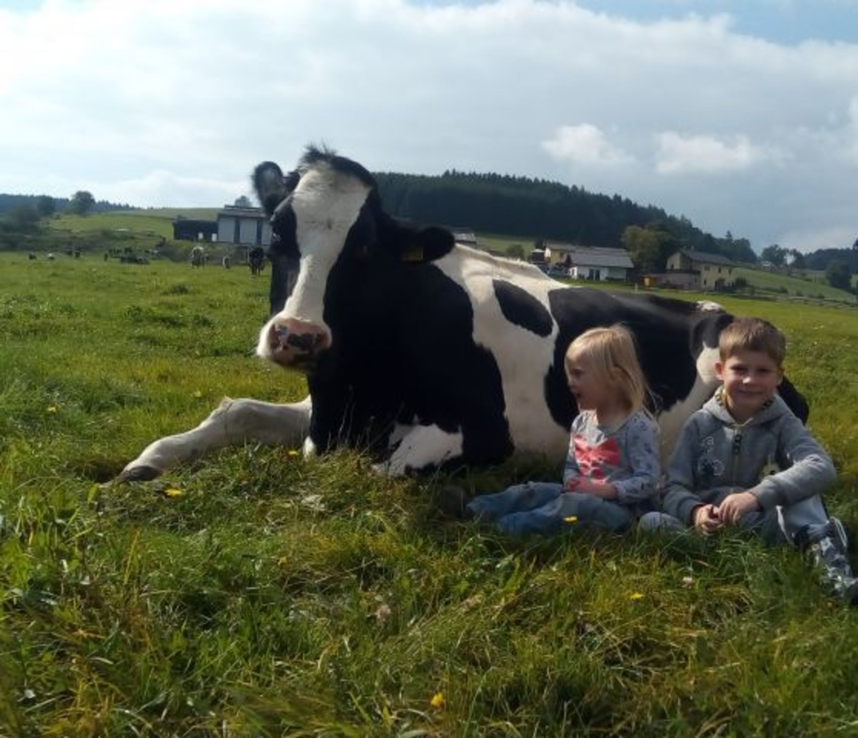 Bild 12
