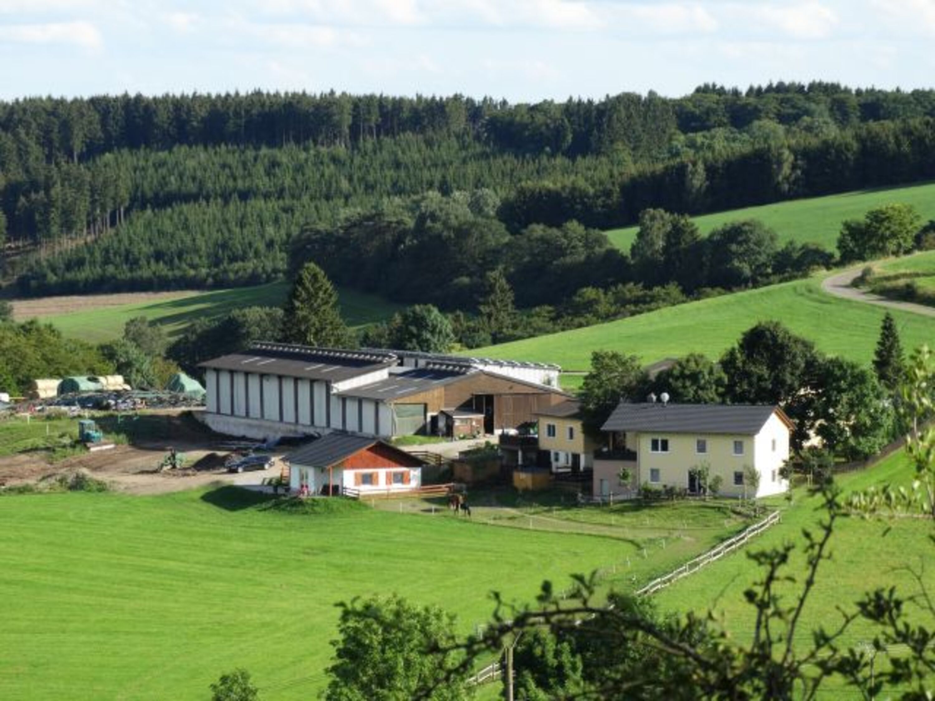 Bild 11