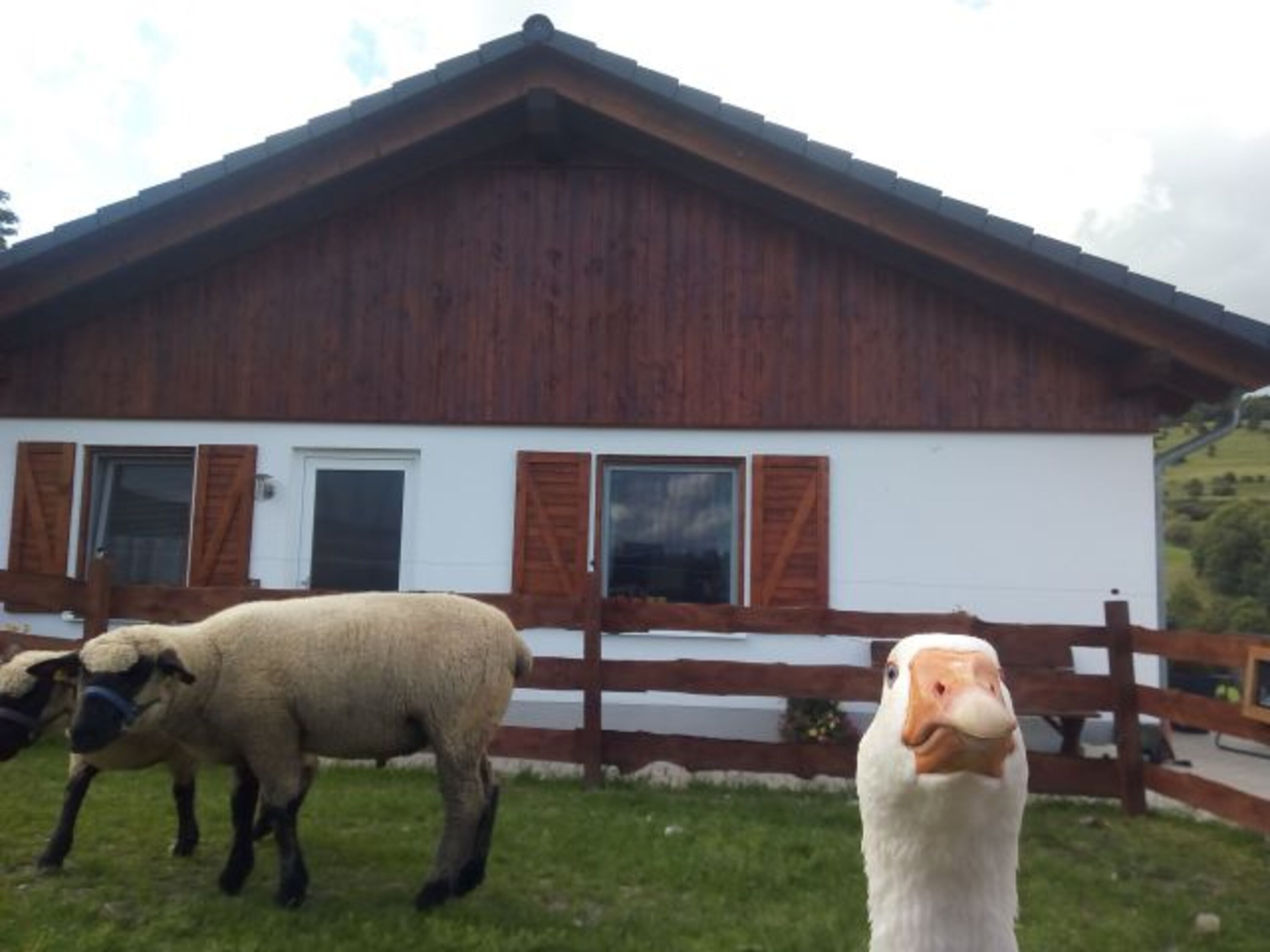 Bild 13