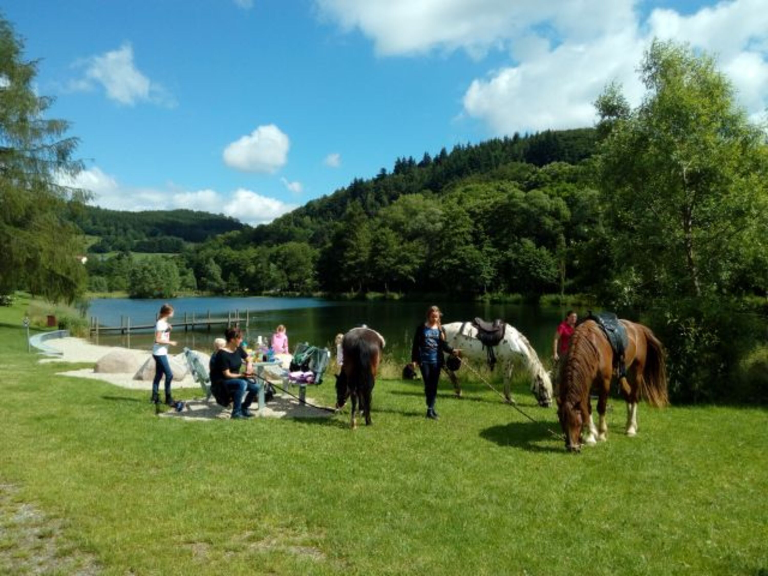 Ponyreiten am Hof