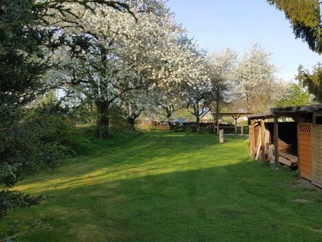 große, 1,50m hoch eingezäunte Wiese