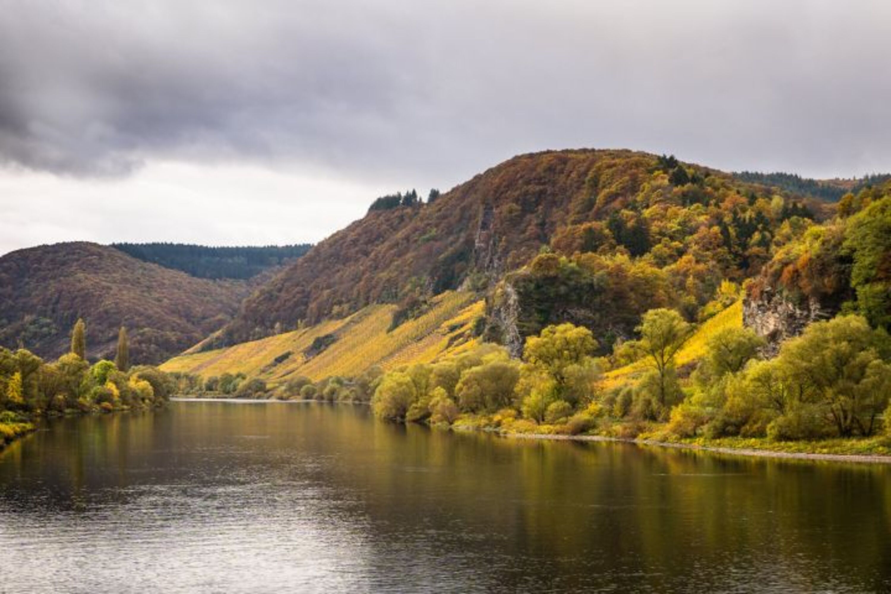 Mosel