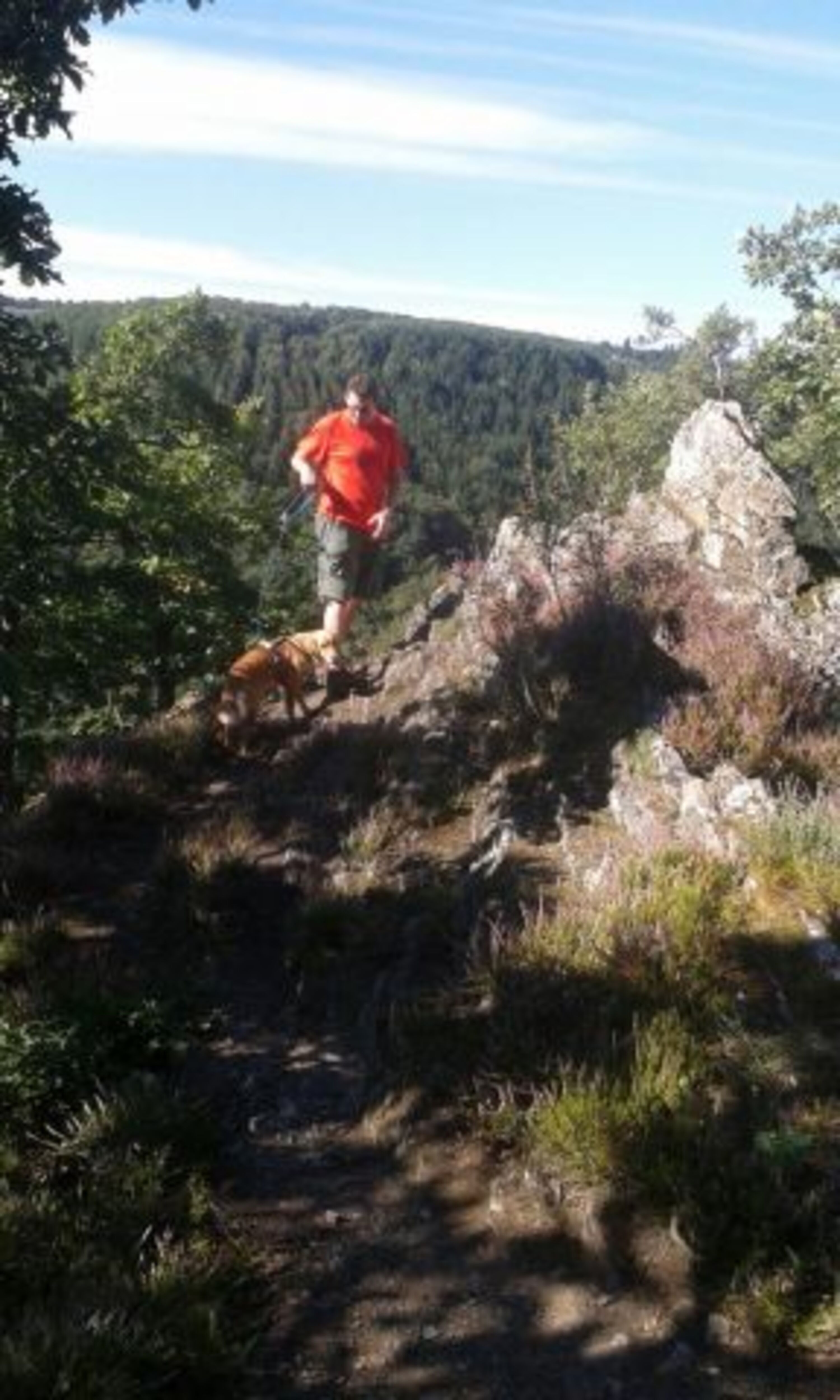 Traumschleife