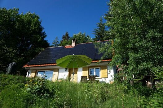 1.100 qm Grundstück komplette eingezäunt (1m Zaunhöhe)