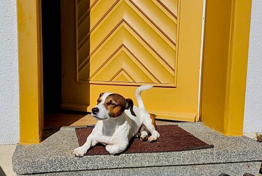 Der Hausherr überwacht sein Grundstück :-)