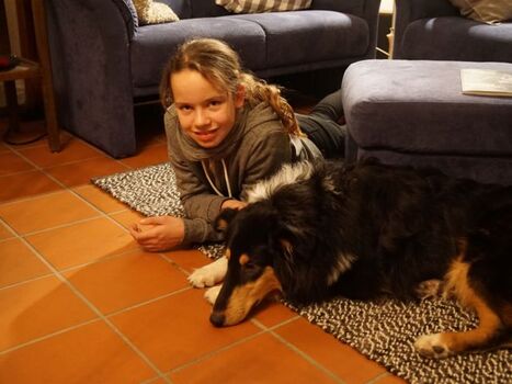 Chalet Bergweide - kinderfreundlich, hundefreundlich