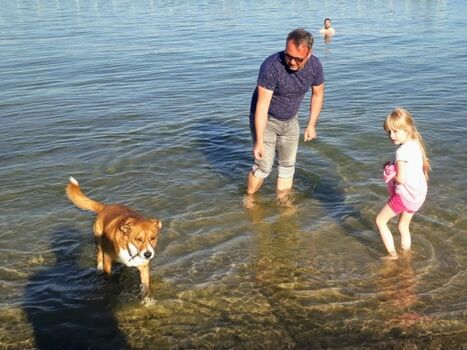 Urlaub mit Hund in Mecklenburg - hier ist Ihr Vierbeiner willkommen