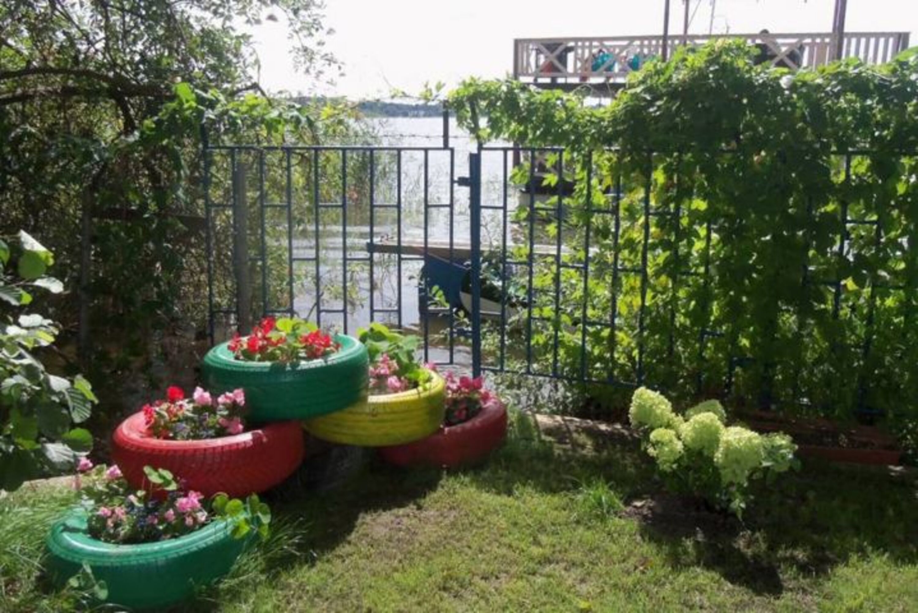 Blumen am Hafen