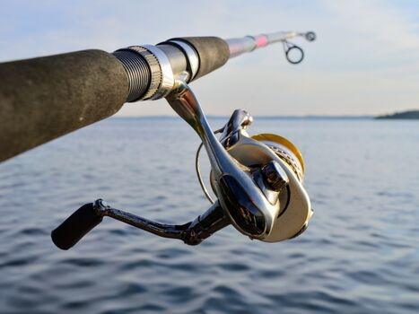 Ein ideales Revier für Angler...