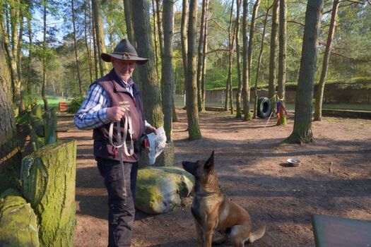 Hundetrainer auf dem Hundetobeplatz im Feriendorf