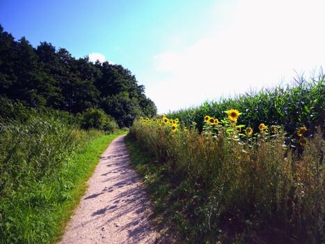 Tolle Rad- und Wanderwege durch die Natur