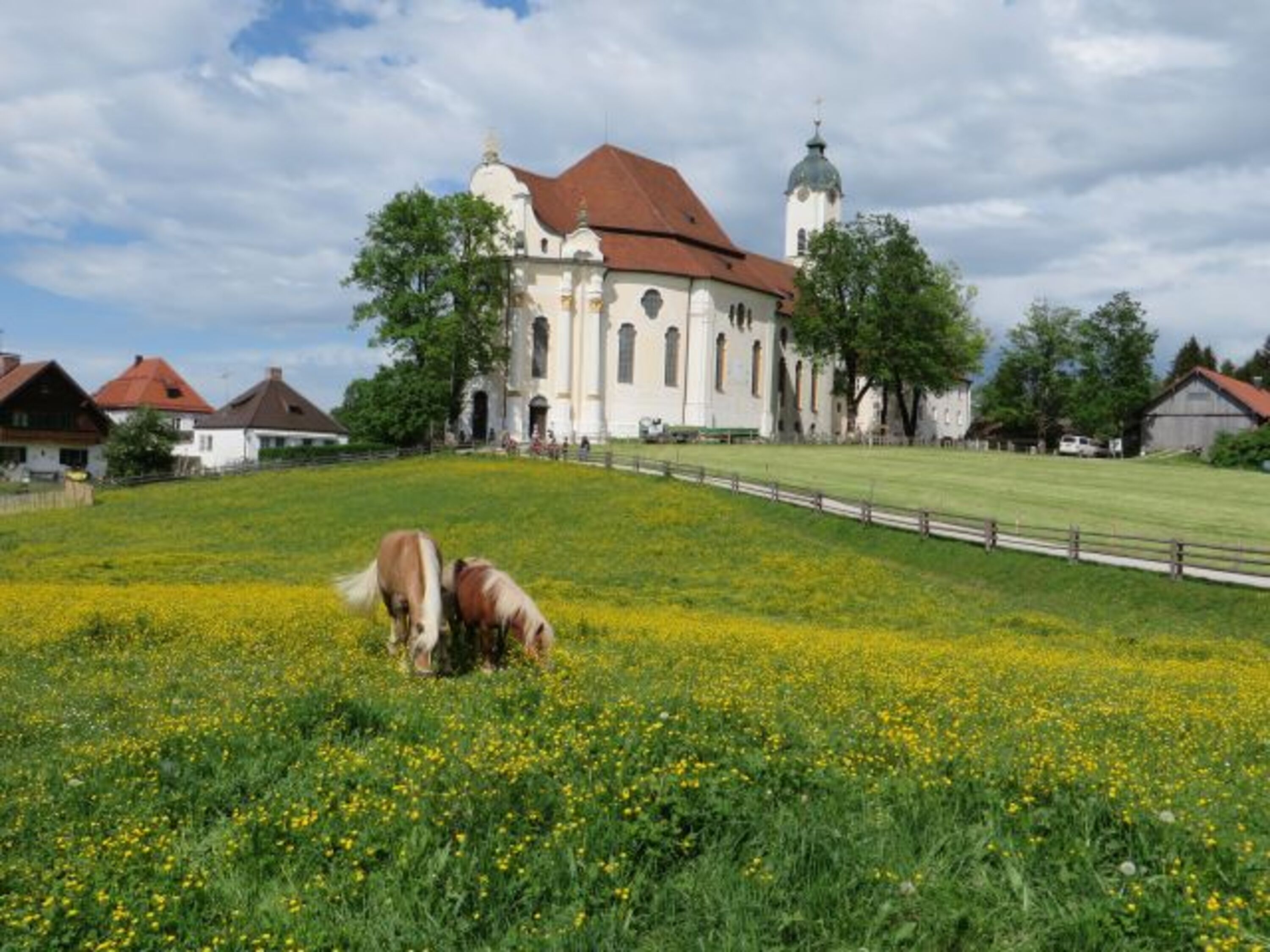 Bild 16
