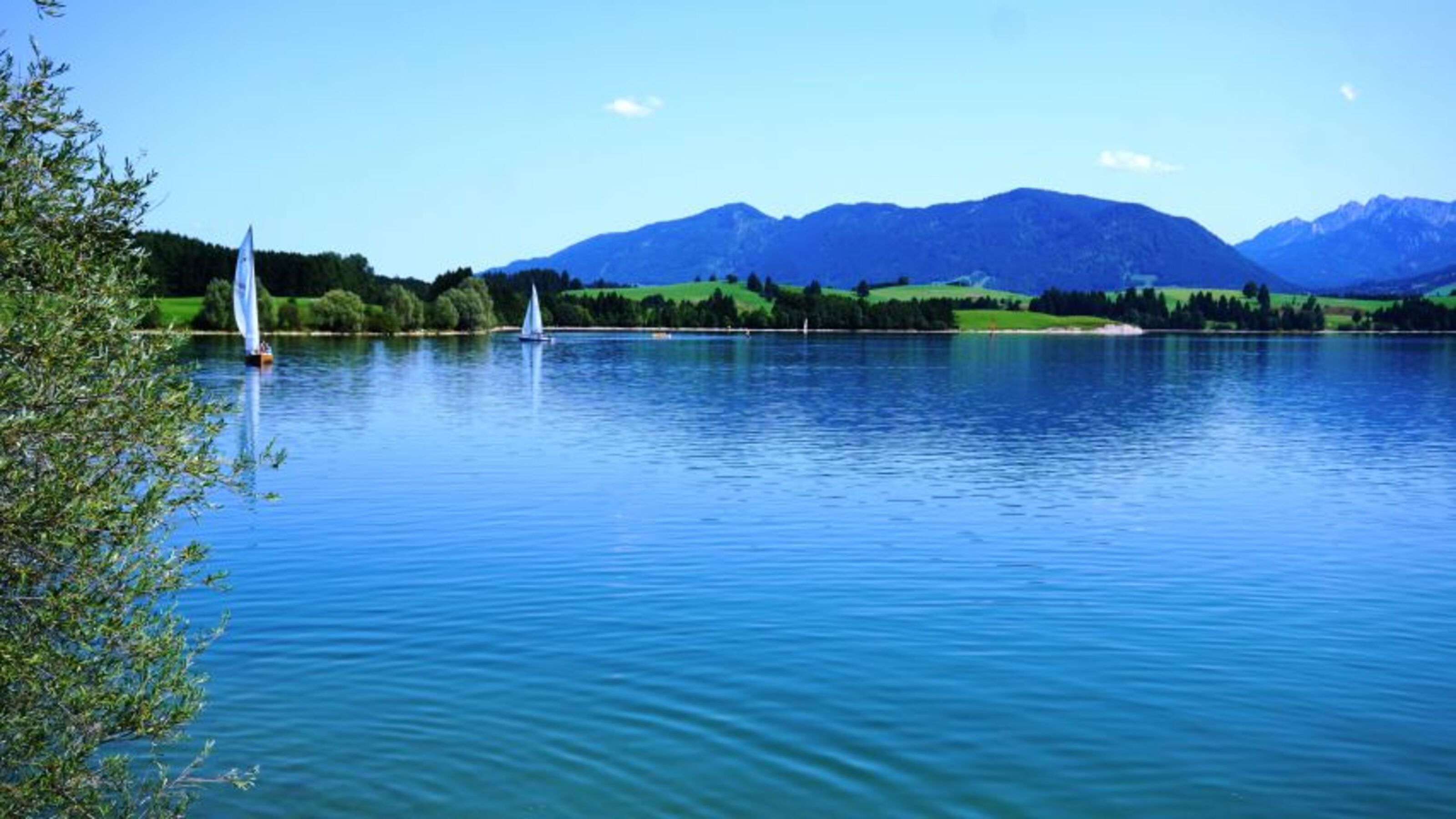 Bild 12