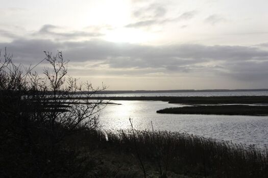 Das Naturschutzgebiet Geltinger Birk im Winter