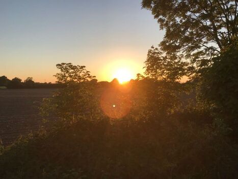 Sundowner auf der Terrasse